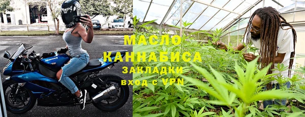 индика Вязьма