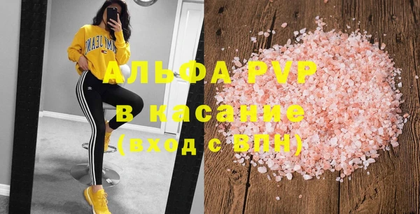 индика Вязьма