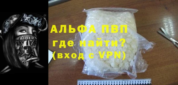 индика Вязьма