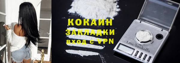 индика Вязьма