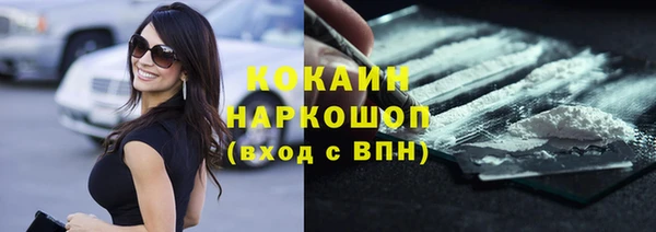 индика Вязьма