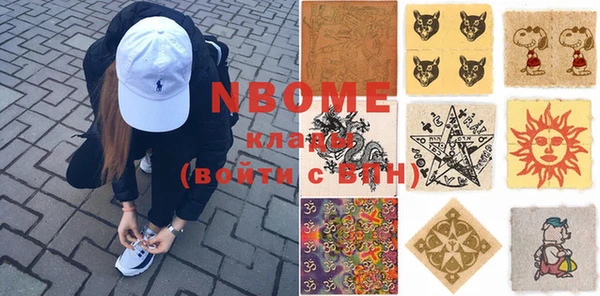индика Вязьма