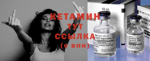 индика Вязьма