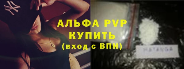 индика Вязьма