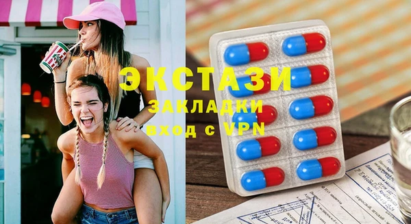 индика Вязьма