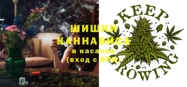 индика Вязьма
