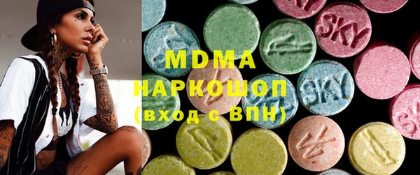 индика Вязьма