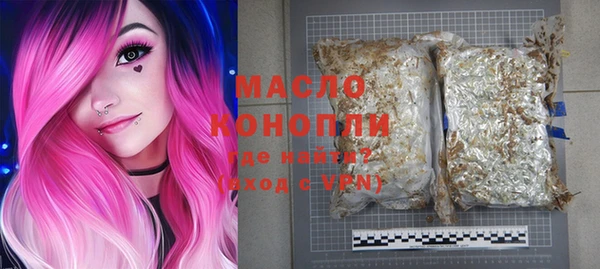 индика Вязьма