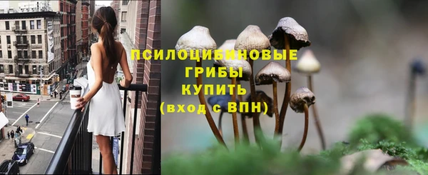 индика Вязьма